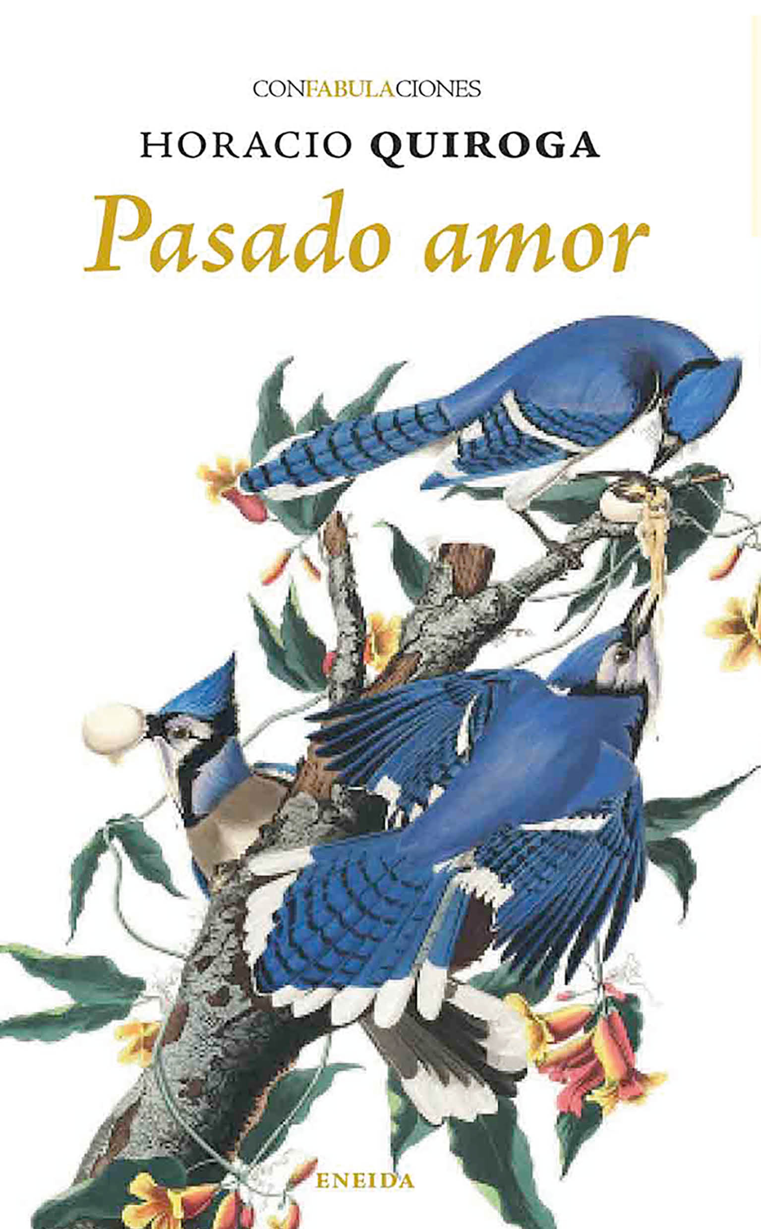 Pasado Amor